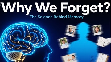 Why We Forget: The Real Science of Memory Explained