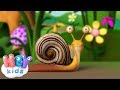 Petit escargot  chansons pour bbs  heykids