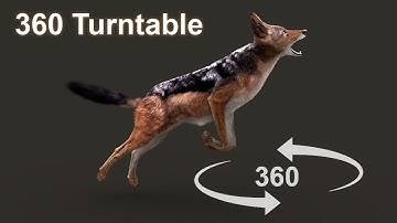 Black backed jackal jump 360 turntable | 3D animation | Maya Arnold | CG Creature artist #stynsour