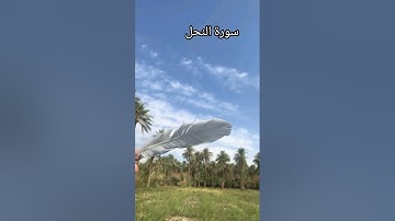 #سورة_النحل #سعد_الغامدي
