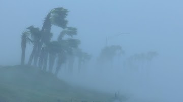 Fall into Sleep Instantly with Heavy Rain, Strong Wind & Awful Thunderstorm Sounds in Stormy Night