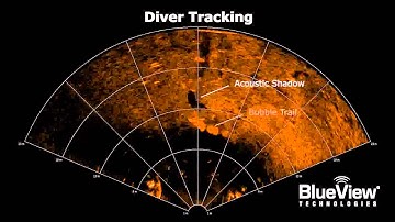 Diver Tracking
