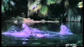 The Story Behind the Wilhelm Scream (2007)