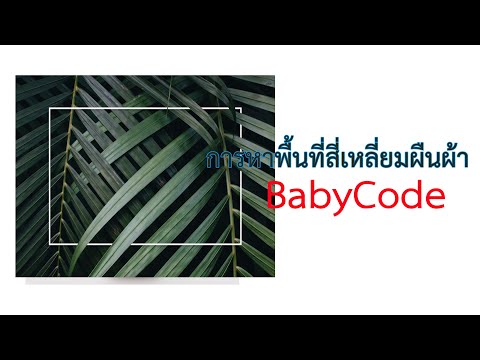 ฟังก์ชันการหาพื้นที่สี่เหลี่ยมผืนผ้า