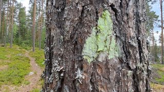 Vähäniemi-Tohkoon Virkistysalue