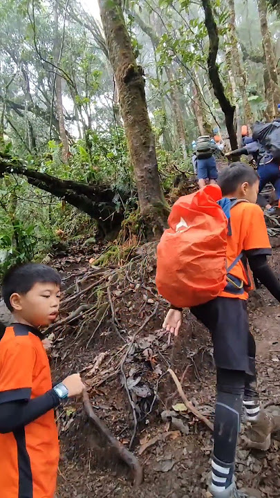 Kondisi Trek Gunung Gede Via Putri | ##pendaki #story #eksplore #hiking