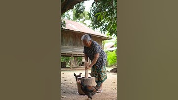 Thumbnail of The Song of Rice Beneath the Mango Tree #shorts #trending #village