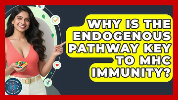 Why Is The Endogenous Pathway Key To MHC Immunity? - All About the Immune System