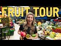 FRUIT TOUR -Trying Some of the Most Exotic Fruit at Bogotá&#39;s Paloquemao Market!