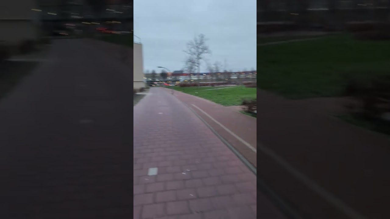 На Голландском велосипеде по городу Лелистад.  3 марта 2023 года.