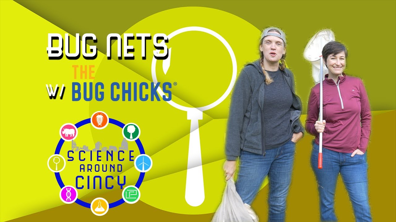 Science Around Cincy: Bug Nets w/ The Bug Chicks 