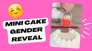 Mini Cake Gender Reveal🎂💙🩷 by Viralish Couples 5,441 views 3 months ago 3 minutes, 2 seconds