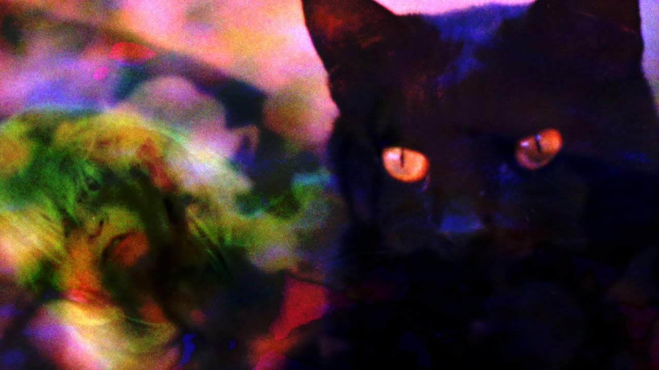 洋楽 Airiel The Battle Of Sealand Shoegazer The Battle of Sealand