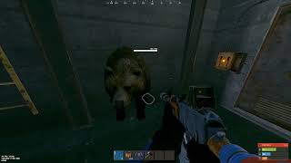 Rust Staging Bug Report | Trainyard Coal Tower Bear Passthrough