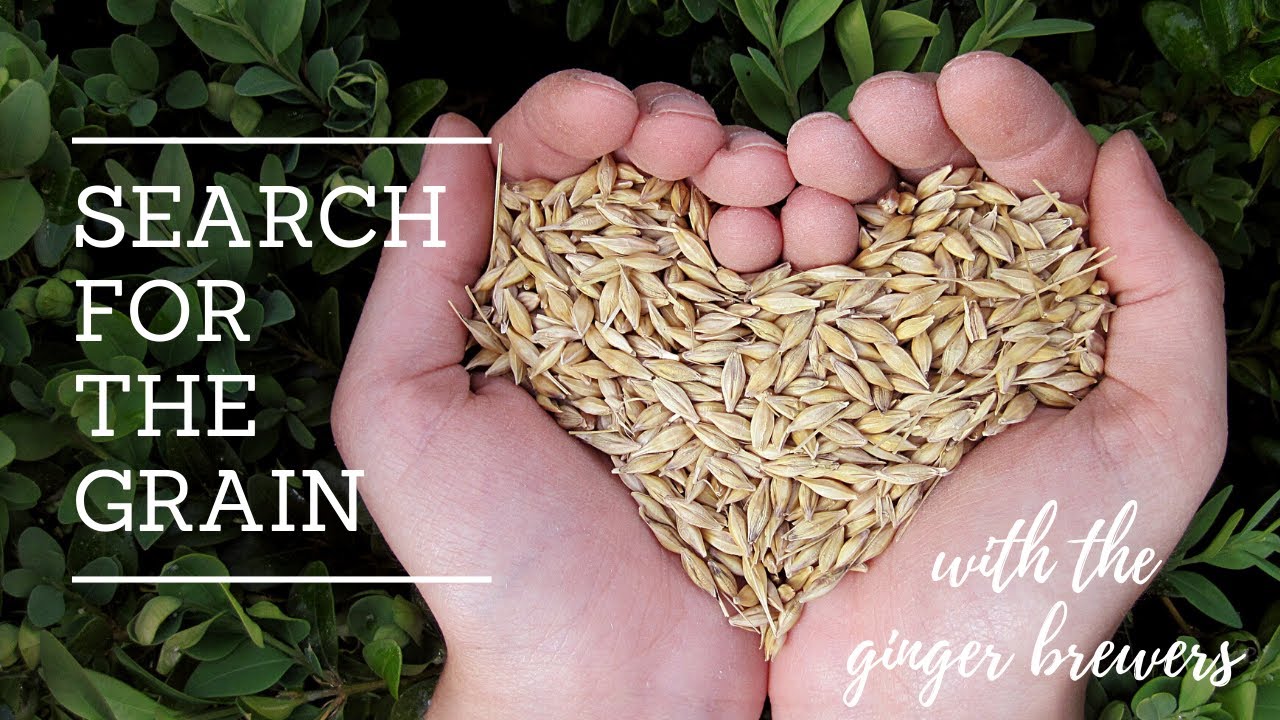 Where to buy grain for beer brewing. Get Er Brewed. YouTube