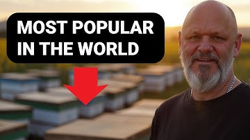 Why Langstroth Hive is the Most Popular In The World