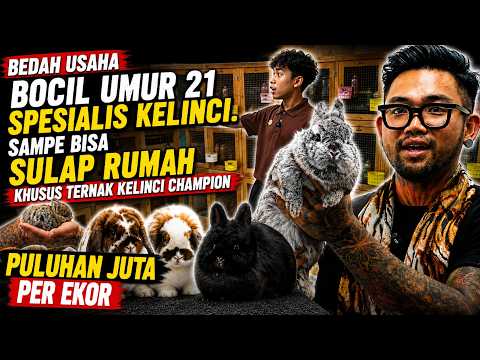 21-YEAR-OLD KID'S BUSINESS: RABBIT SPECIALIST TRANSFORMS HOUSE INTO CHAMPION RABBIT FARM WORTH TE...
