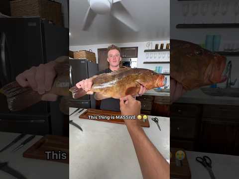 Cooking A Grouper