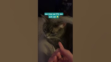 shes so mean 😪 #funny #tiktok #preppy #skincare #relatable #cat #grwm #makeup #viral #pet #school