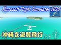 【マイクロソフトフライトシミュレーター】沖縄を遊覧飛行【Microsoft Flight Simulator】Okinawa,Japan