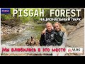 Отдых в горах Северной Каролины/Водопады / Pisgah Forest/ Panera Bread/ FireHouse subs/ США /Часть 3