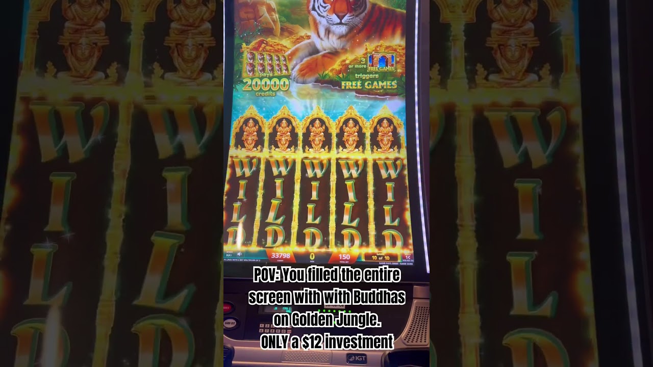 $12 investment turned into a full screen of wilds! First video out now 🎰👑