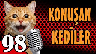 Konuşan Kediler 98 En Komik Kedi Videoları by Pati TV 28,759 views 11 days ago 9 minutes, 38 seconds