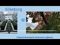 Дания🇩🇰Силькеборг.  Секонд хенд и дешевая икра.  Где выгодно покупать в Селькеборге + рецепт икры!
