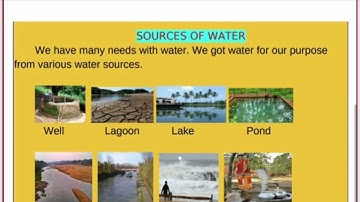 Class 3 evs english medium worksheet sep 17/21 friday