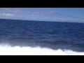 Long Beach to Catalina Island