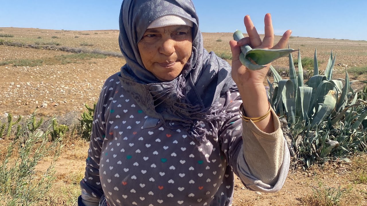 ضاع نص عمرك😲ونتا معارفش هد النبتة كت طول الشعر  وكت رطبوا كي ولي بحال الحرير😧وكت عالجوا من تونية👌