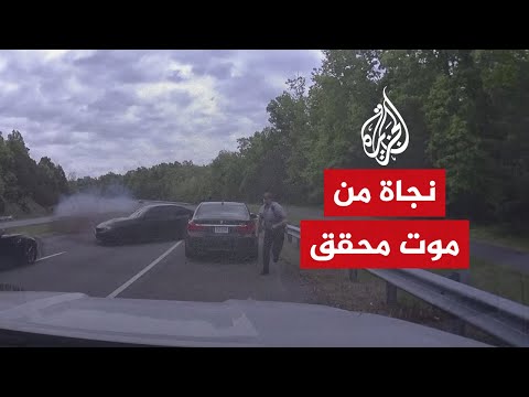 فيديو: اناتوليان شيبرد كلب