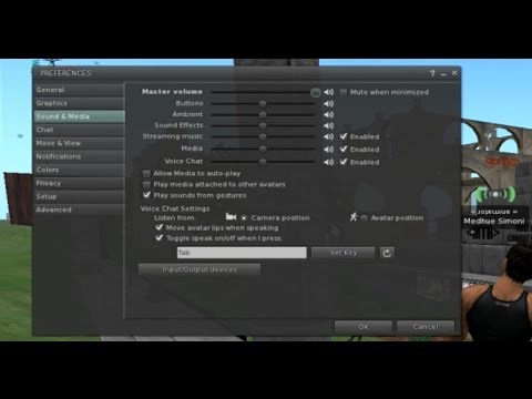 SecondLife Preferences Tutorial