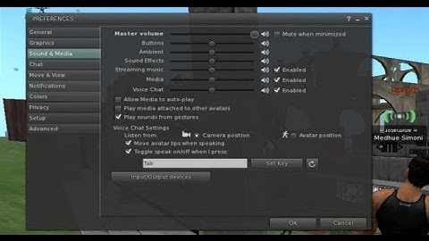 SecondLife Preferences Tutorial