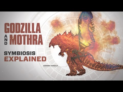 Burning Godzilla and Mothra's Alliance EXPLAINED