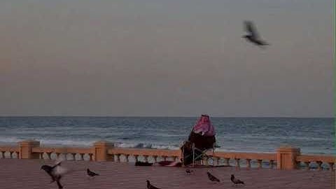 أرشيفية من سورة الفرقان | عبد الرحمن الماجد