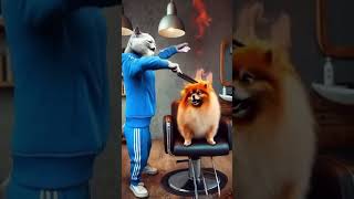 Catdog comedybackground  bgm instrumental yellowtunes beats