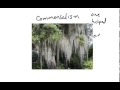 Energy Flow and Ecosystem Dynamics
