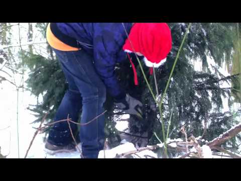 MJ Productions - Top of the Christmas tree [ stay ...