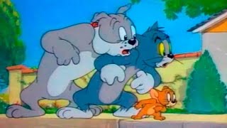... tom and jerry - the truce hurts episode 35 cartoon ► iukeit...
