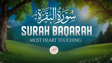 Surah Al-Baqarah سورة البقرة Full Majestic Voice That Will Deeply Touch the Soul | Al Furqan Lofi