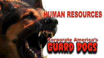 Human Resources In A Call Center Part 2