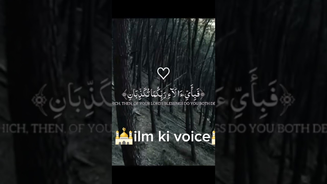 Must watch the beautiful video of the jungle,ilm ki voice