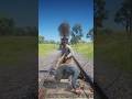 Survival Skills vid1461