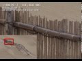 写真の秘訣 望遠レンズのピント