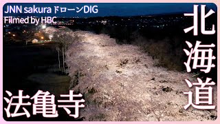 枝垂桜と桜並木　北海道北斗市【JNN sakuraドローンDIG 2023】