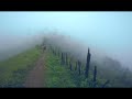 Mt Ugo (Foggy Forest)