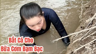 Buổi Chiều Mấy Chị Em Cô Gái Quê Ra Đồng Bắt Cá Chuẩn Bị Cho Bữa Cơm Chiều Đạm Bạc