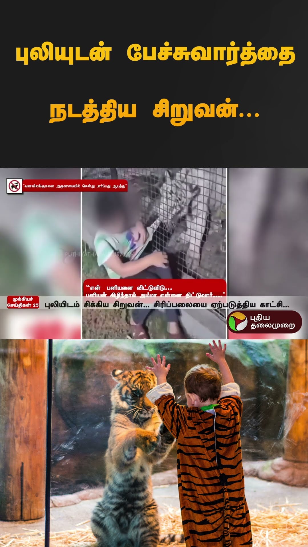புலியுடன் பேச்சுவார்த்தை நடத்திய சிறுவன்... ஒரே காமெடியா போச்சு #tiger | #shorts