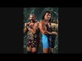 The steiner brothers wcw theme